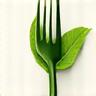 Icon for a nutrition tracking app, showing a stylized fork and leaf.